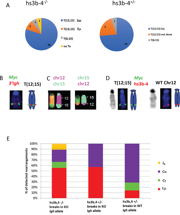 In mouse PCTs, deletion of hs3b-4 does not affect the pattern of chromosomal translocations but significantly increases targeting of S&#x03BC; for T(12;15).