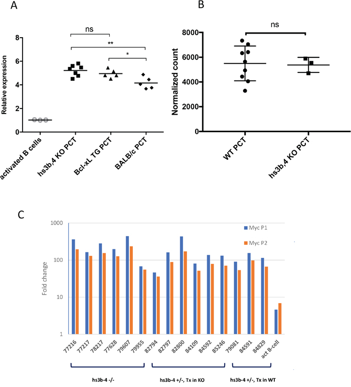 hs3-4b deficiency does not affect Myc expression in PCTs.