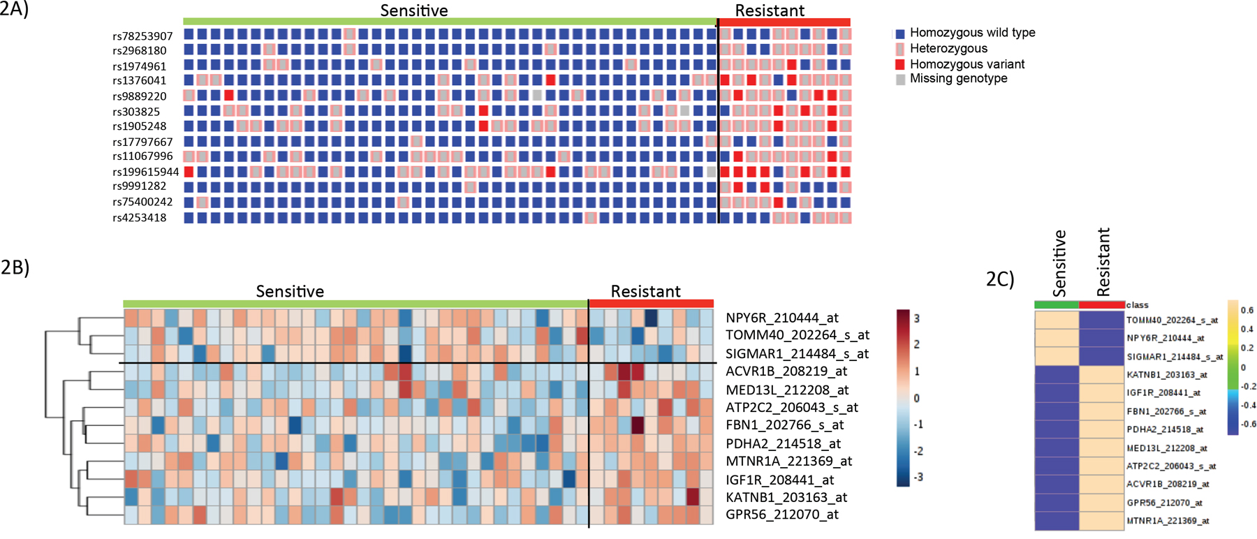 SNP-genotype and gene-expression heat-map in cytarabine sensitive and resistant cases.