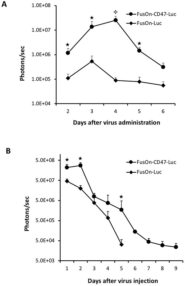 Comparison of FusOn-CD47-Luc and FusOn-Luc systemically delivered to 4T1 tumor and locally delivered to CT26 tumor.