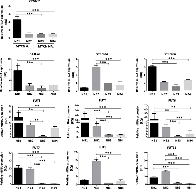 Comparison of glycosyltransferases transcripts expression involved in Core 2 O-glycan biosynthesis in patient-derived primary-tumor samples.