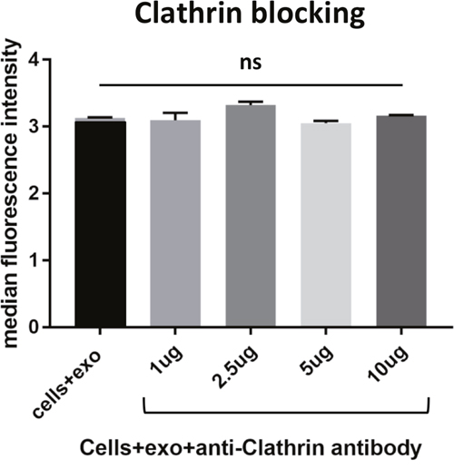 Blocking various membrane receptors changes the amount of exosome internalization by HeLa cells.