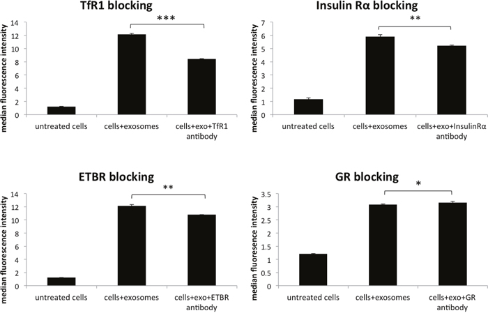 Blocking various membrane receptors changes the amount of exosome internalization by HeLa cells.