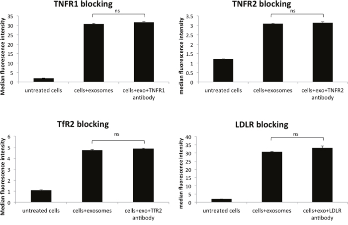 Blocking various membrane receptors changes the amount of exosome internalization by HeLa cells.