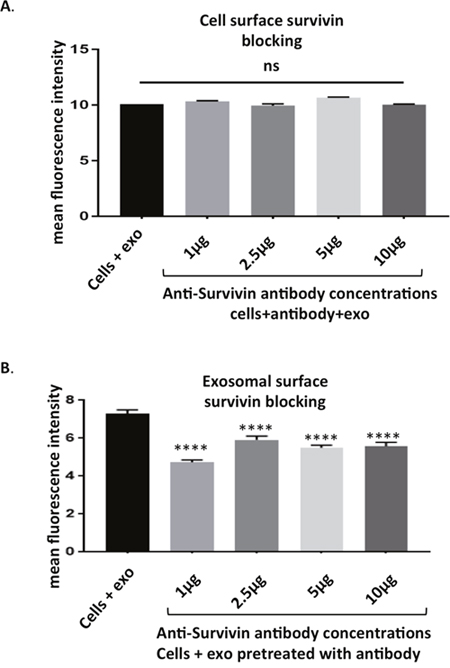 Survivin plays a role in exosome internalization.