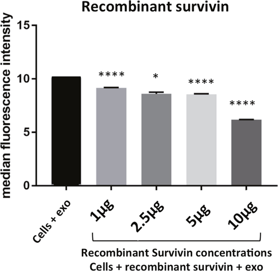 Survivin plays a role in exosome internalization.