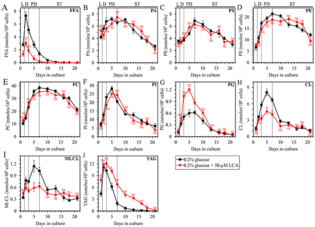 Under CR conditions, LCA exhibits age-related differential effects on the concentrations of several classes of cellular lipids in WT yeast.