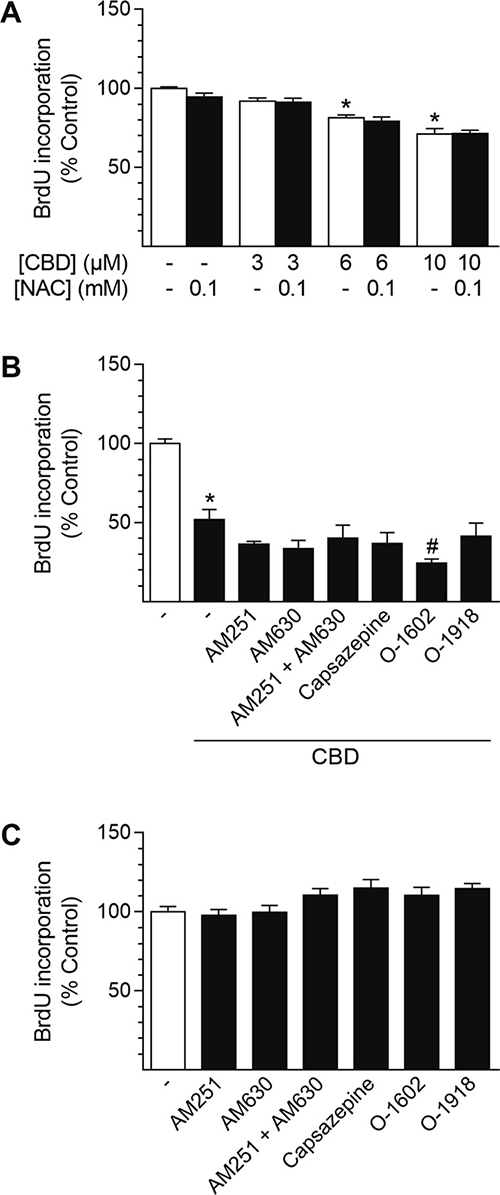 Involvement of ROS generation and receptor signaling in CBD-mediated anti-proliferative effects in HUASMC.