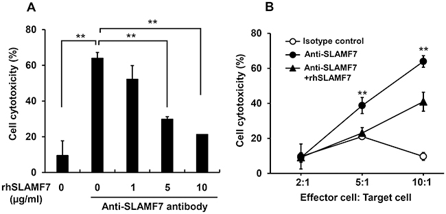 Inhibition of anti-SLAMF7-mediated ADCC activity against MM cells by rhSLAMF7.