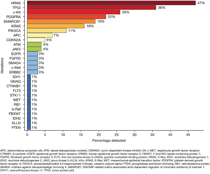 Frequency of identified mutations analyzed by next-generation sequencing (NGS).