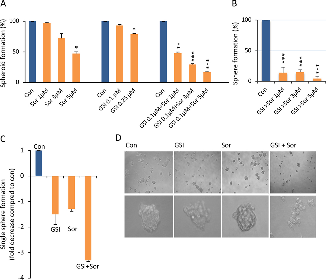 Sorafenib, in combination with PF-03084014, significantly increased the inhibition of HCC spheroid self-renewal and proliferation.