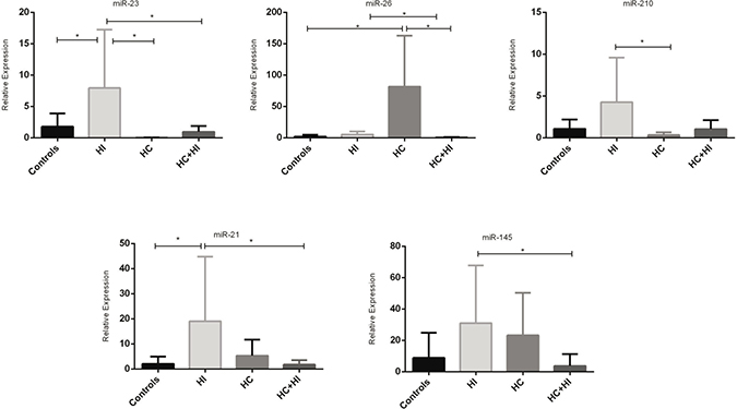 MiRNAs expression in different types of hypoxia (*p &#x003C; 0.05).