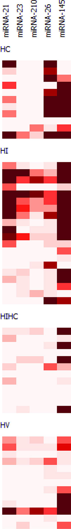 Heat map of miRNAs expression.