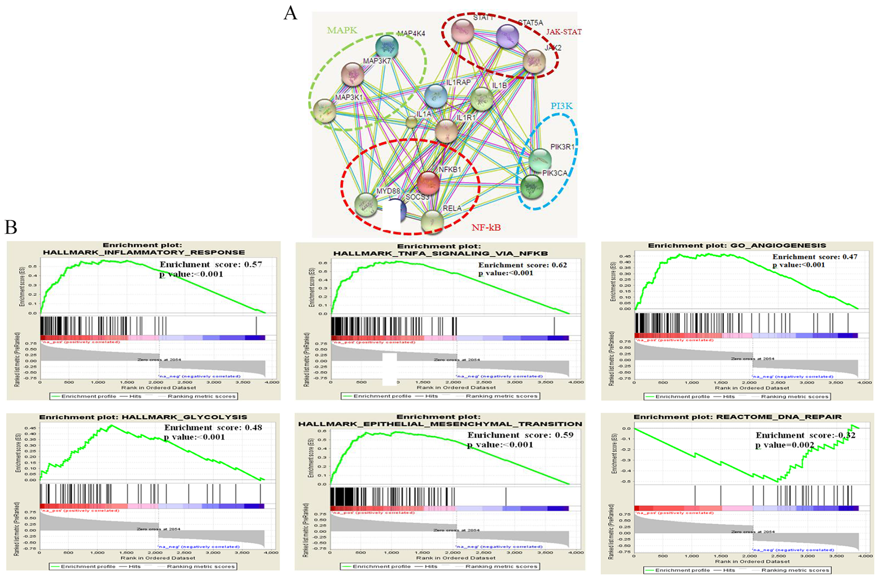 Regulation and pathway analysis of IL1R1.