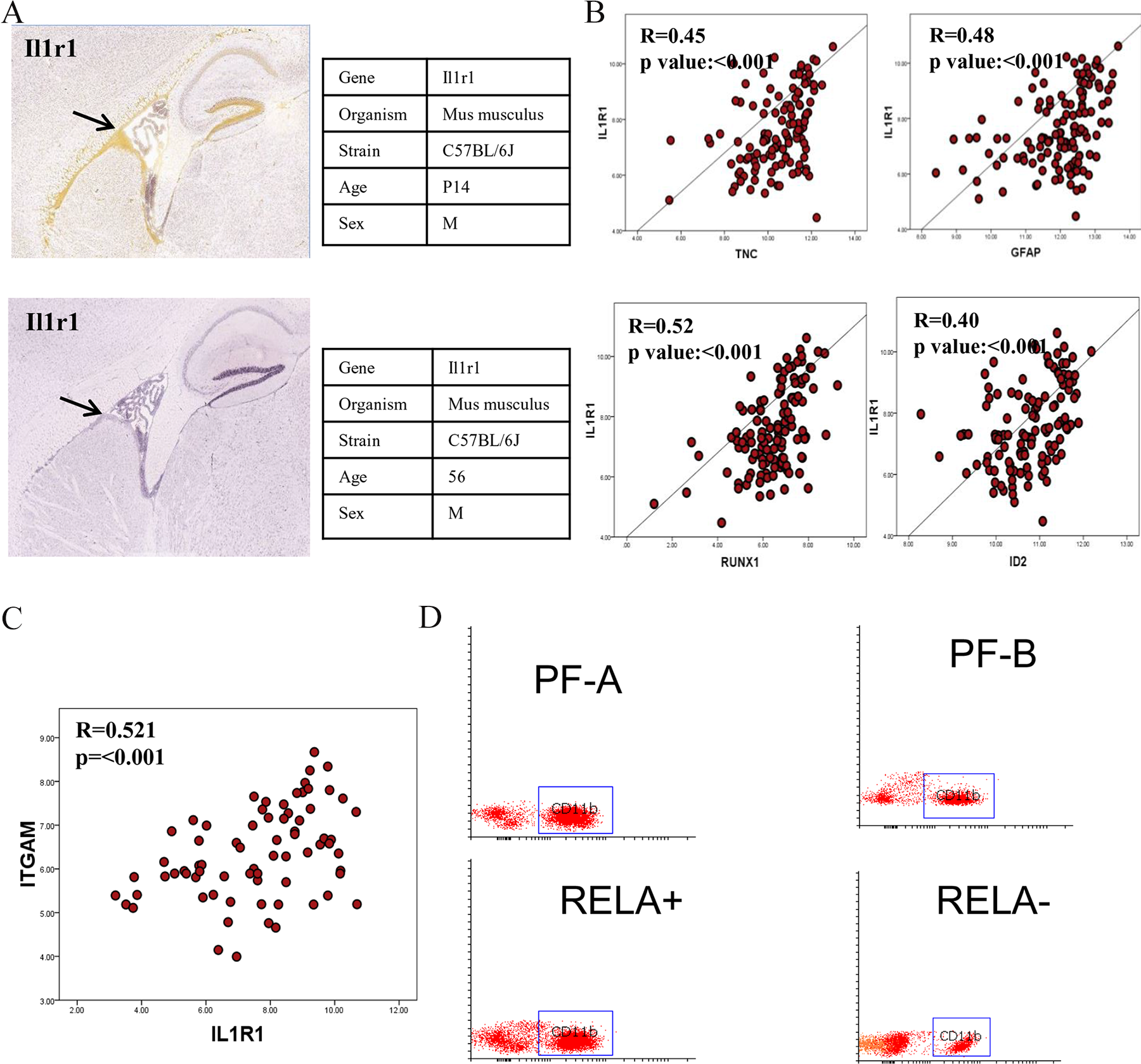 IL1R1 expression and its relation to neural stem cells and MDSC cells.