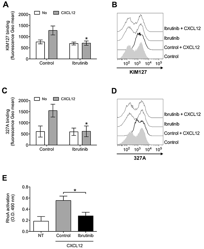 BTK mediates LFA-1 affinity triggering and RhoA activation by CXCL12 in healthy B-lymphocytes.