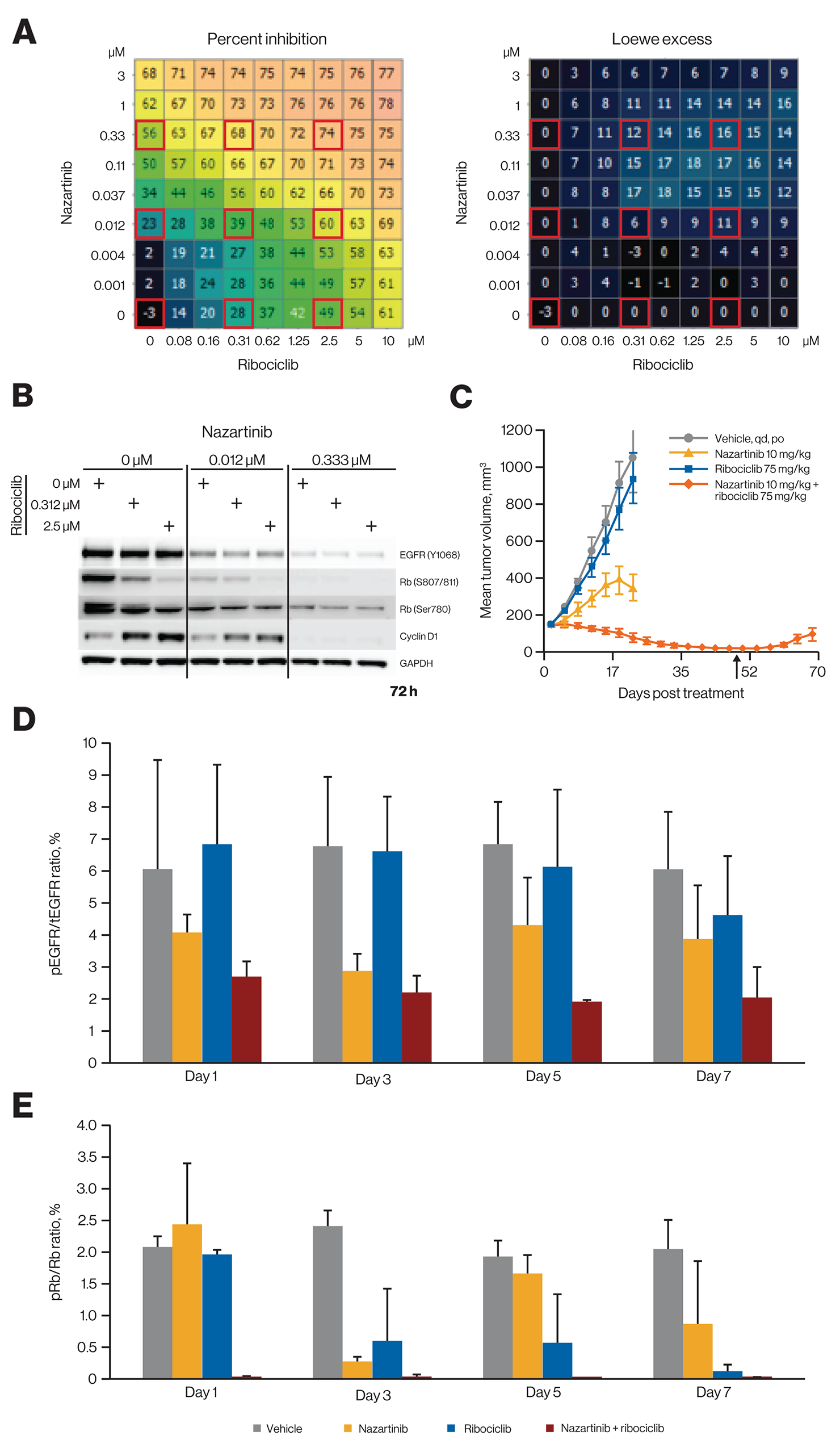 Ribociclib and nazartinib show combinatorial benefit and profound tumor regression in EGFR-mutant lung cancer models at a low nazartinib dose.