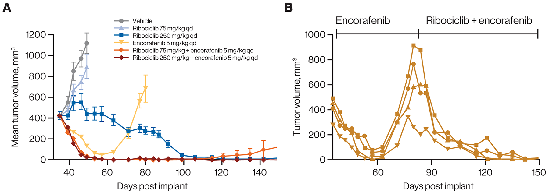 Ribociclib prevents emergence of resistance under treatment when combined with encorafenib in a BRAF-mutant melanoma model.