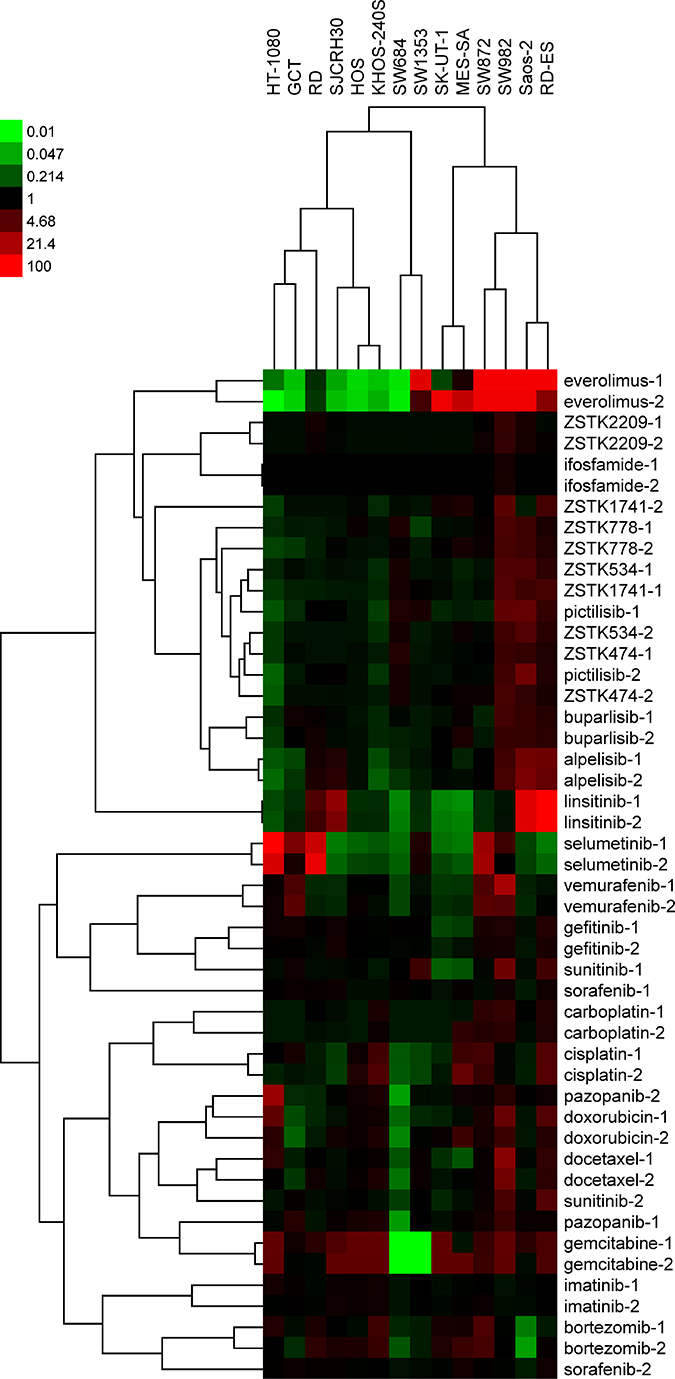 Hierarchical clustering of antiproliferative fingerprints of 24 anticancer compounds across 14 sarcoma cell lines and their relative antitumor activities visualized via a heatmap.