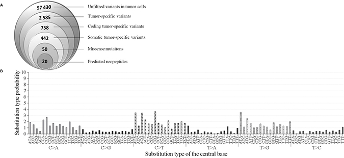 Mutations in patient&#x2019;s hepatocarcinoma.