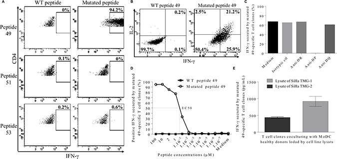 Characterization of neopeptide 49-specific CD4 T cell clones.