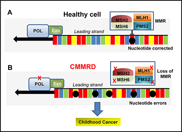 Figure 1: