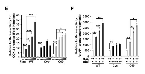 FIG2A