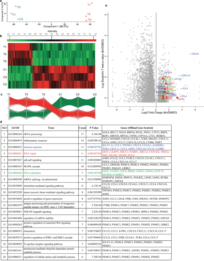 RNA sequencing of DIAP cells shows up-regulation of genes involved in DNA repair, DNA replication and immune response.