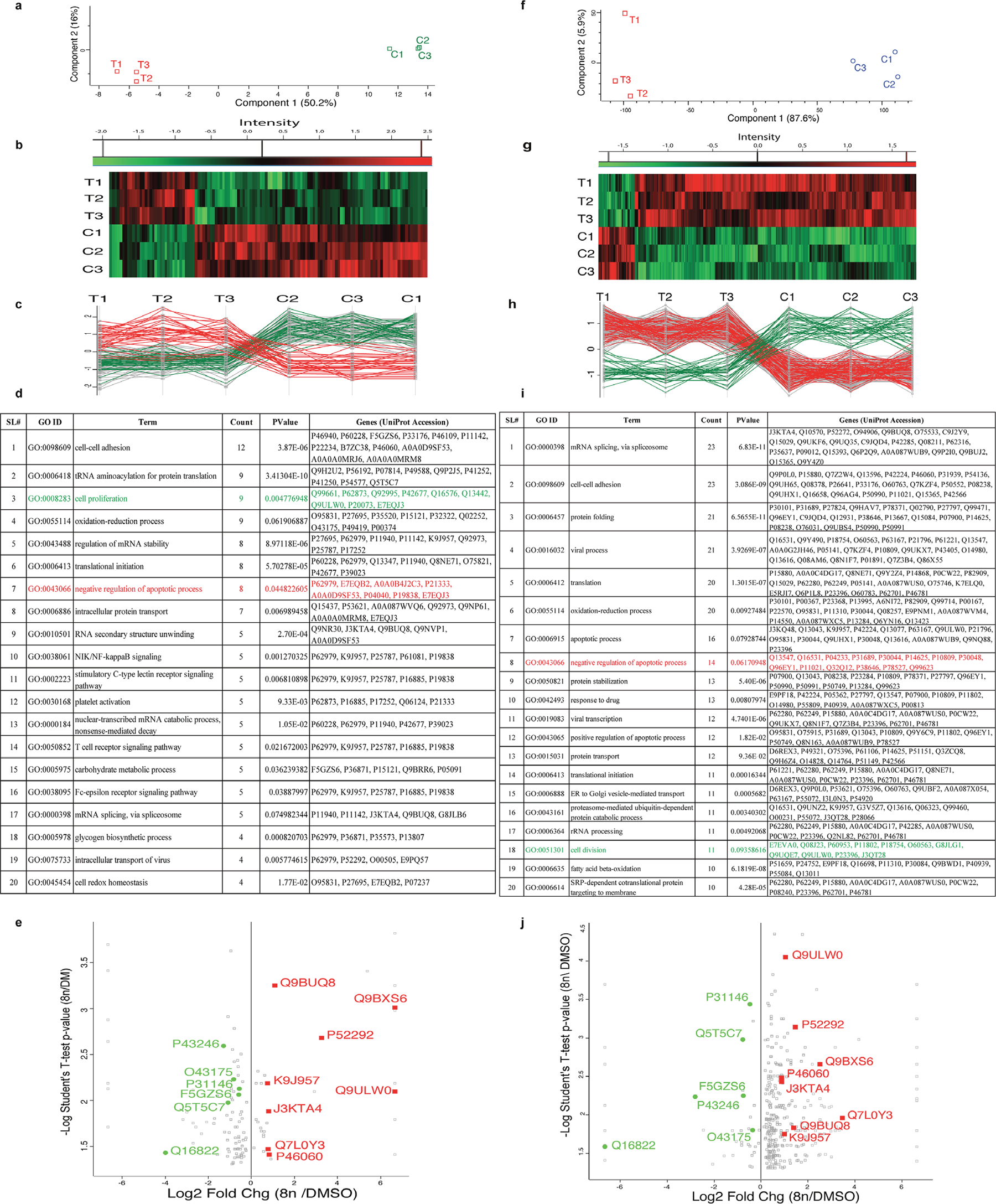 Anti-apoptosis and cell proliferation in DIAP cells are a mechanism of therapy failure.