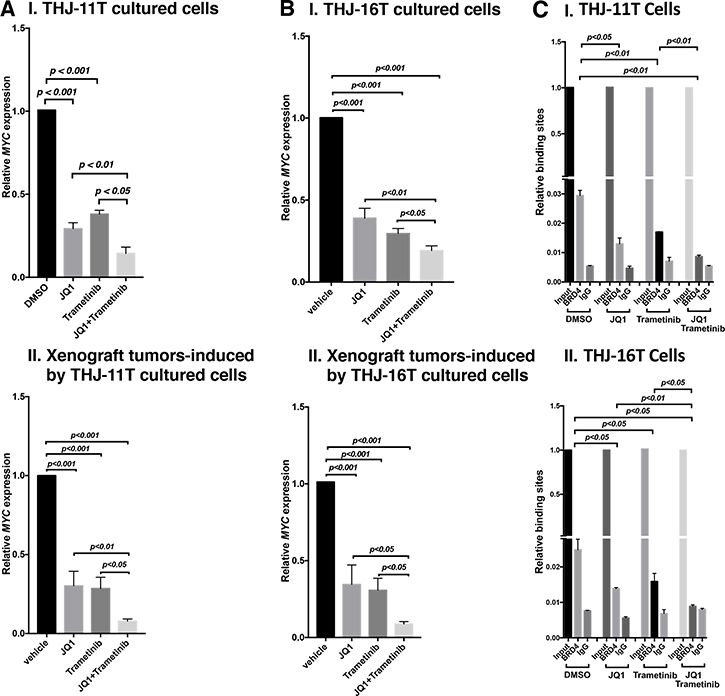 The combined treatment of JQ1 and trametinib synergistically decreased the MYC mRNA expression in ATC cell lines and tumors.
