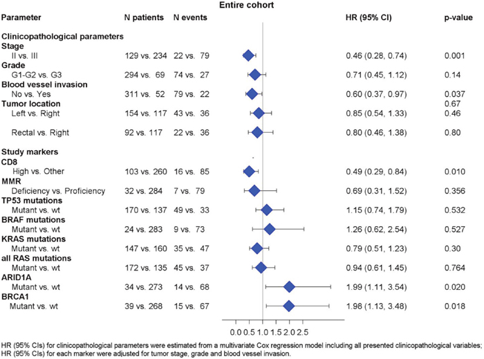 Associations between DFS and relevant clinicopathological, mutational and immunophenotypic parameters.