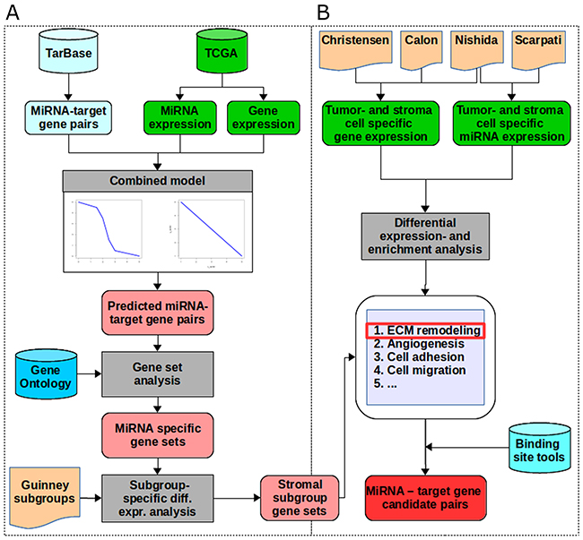 The workflow.