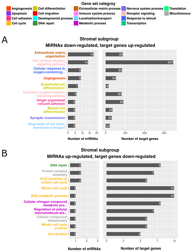 Enriched gene sets of differentially expressed genes and miRNAs in the stromal subgroup.
