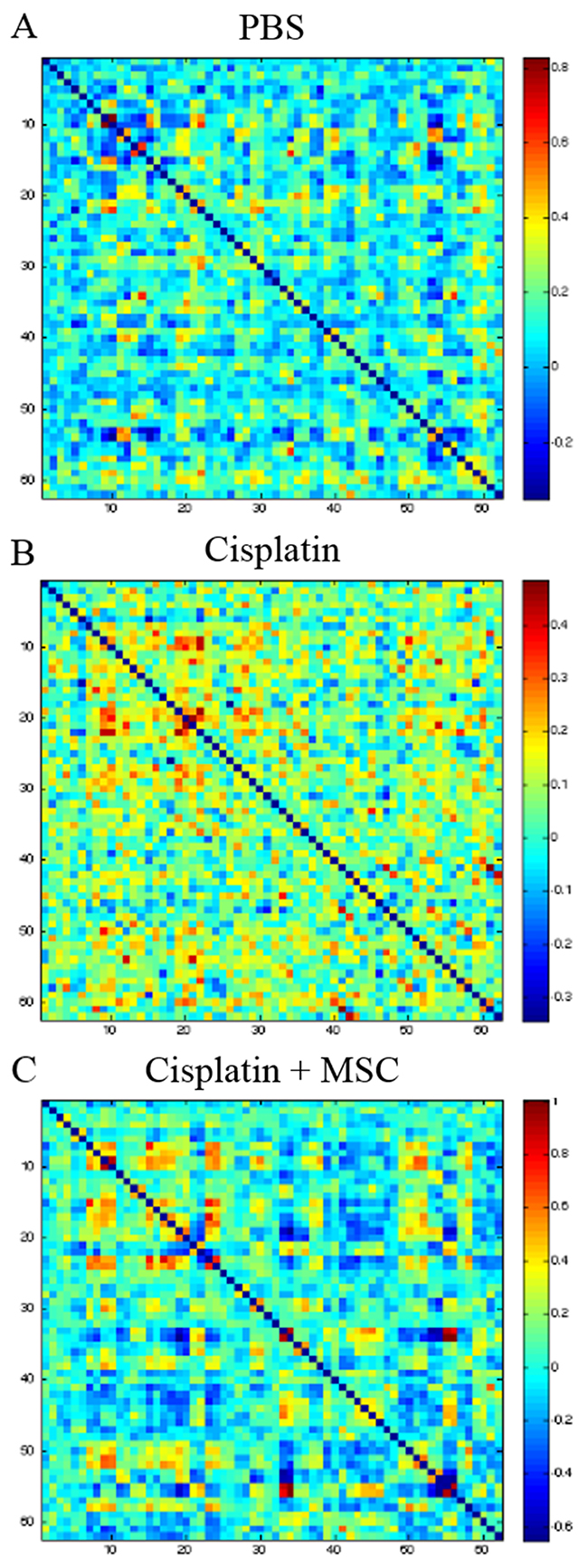 Effect of cisplatin and MSC on brain functional connectivity.
