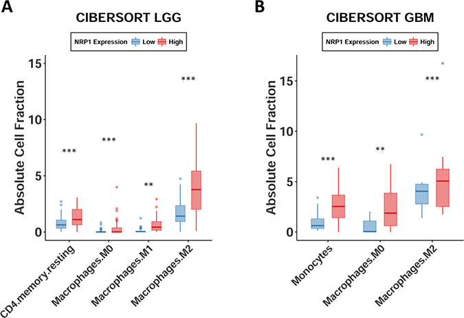 Monocytes, macrophages, and M2 macrophages are enriched in glioma.