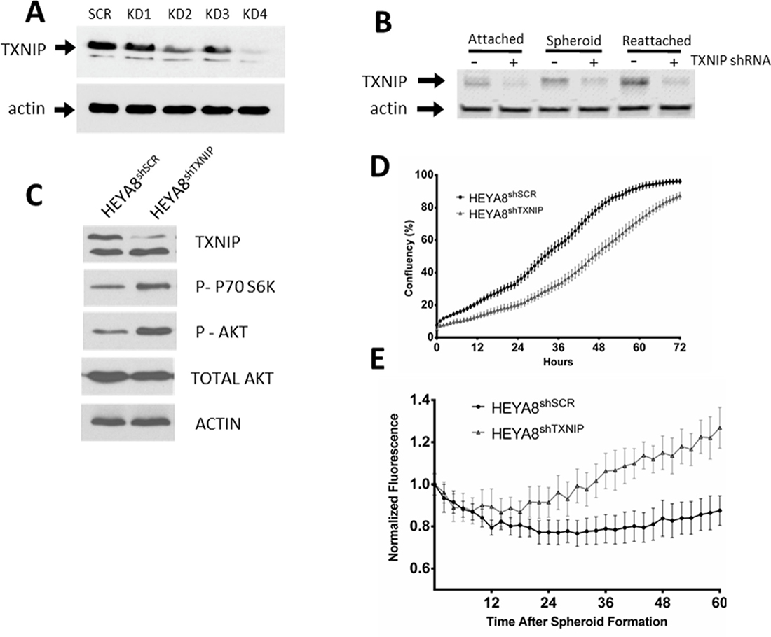 Figure 4: