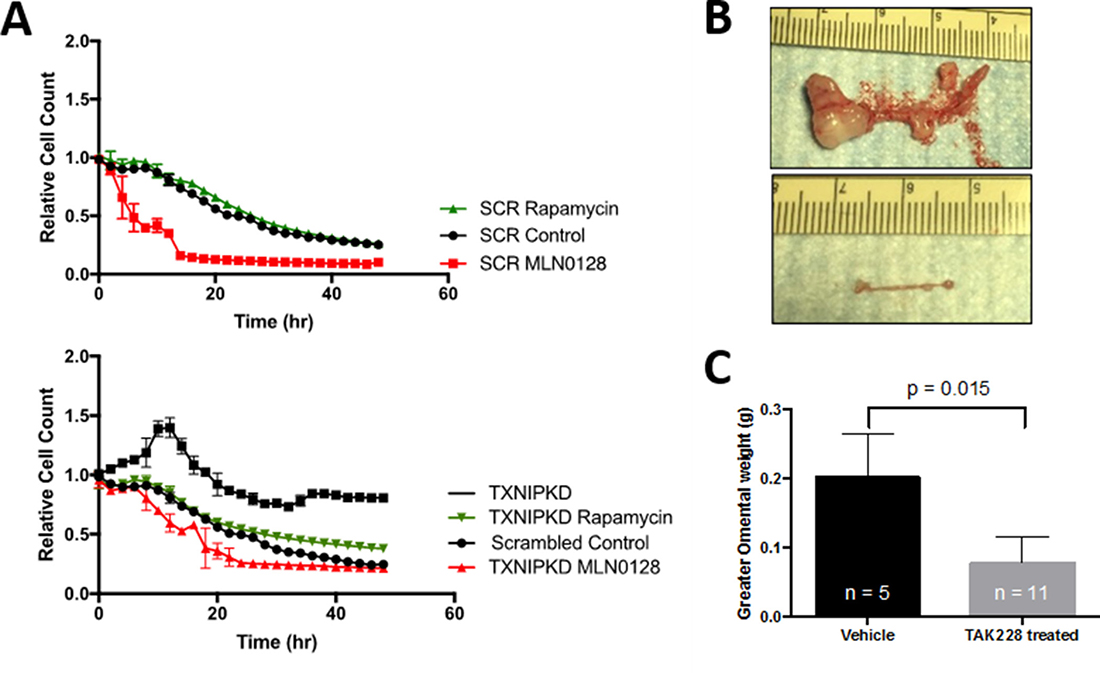 Figure 5: