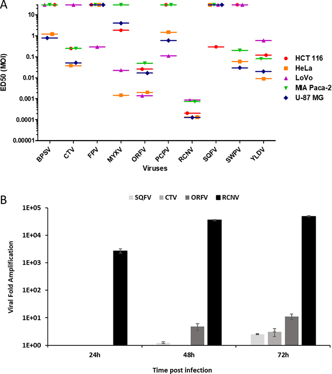 Comparison of different poxviruses in human tumor cell lines and progeny virion production.