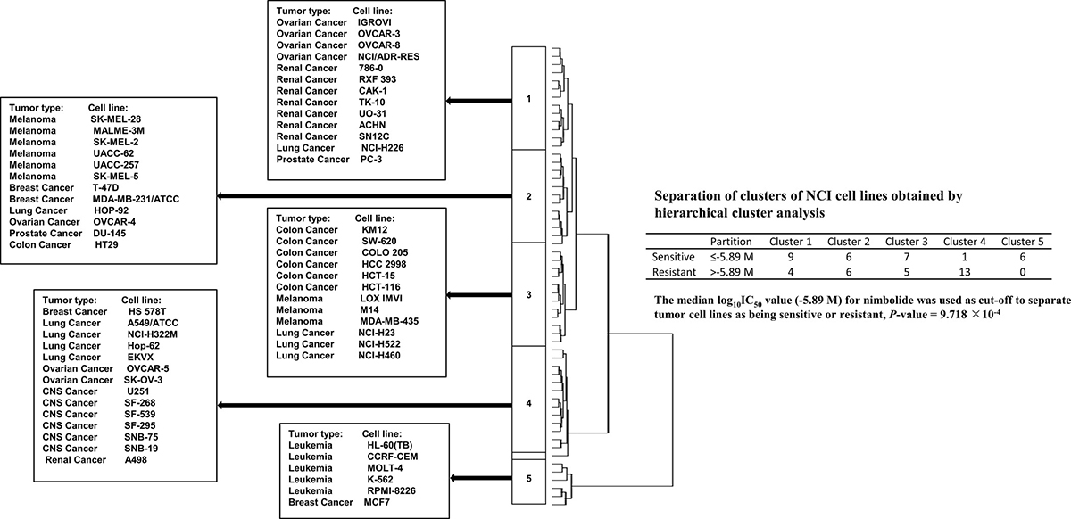 Hierarchical cluster analysis of microarray-based mRNA expression of genes obtained by COMPARE analysis.