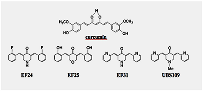 Chemical structures of the monocarbonyl analogs of synthetic curcumin (MACs), EF24, EF31, and UBS109.