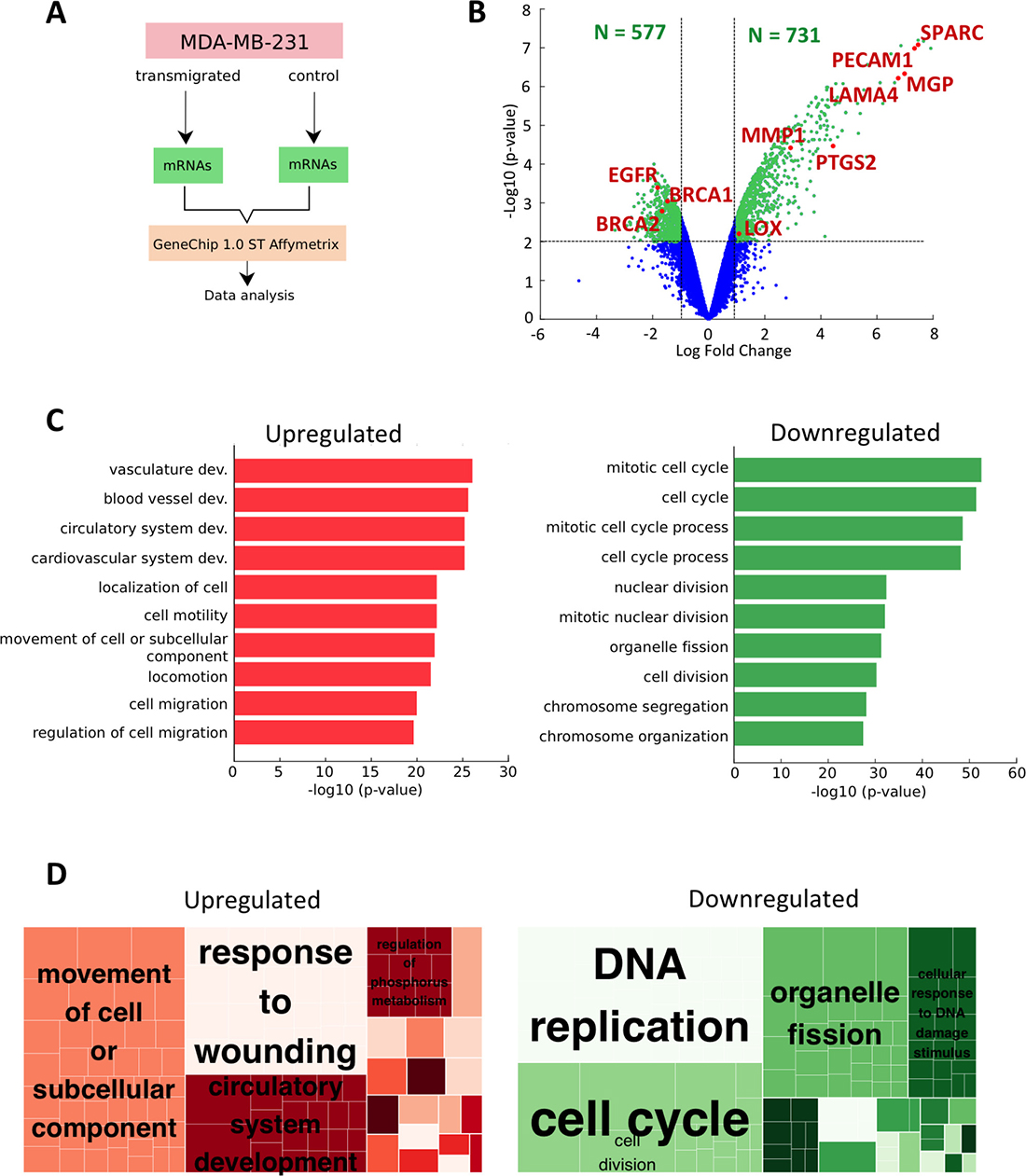 Genetic markers of metastasis progression from microarrays data.