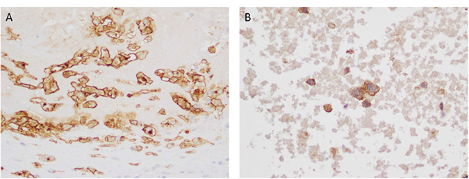 Figure 3: