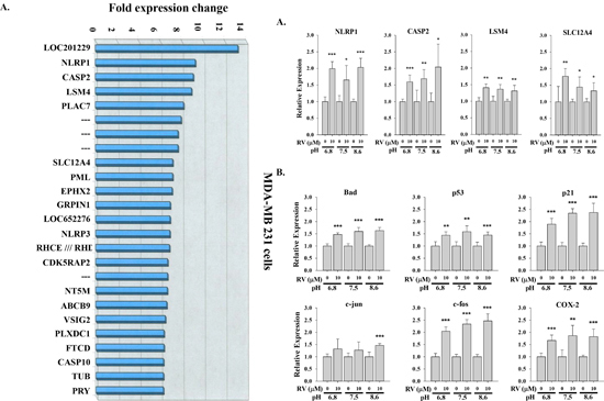 Resveratrol-induced gene expression is not affected by culture media pH.