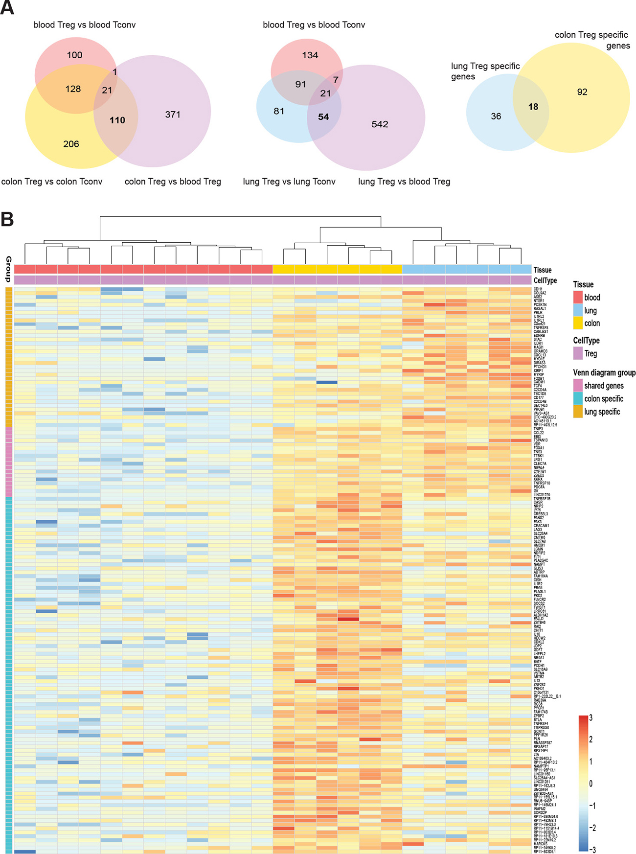 Top differentially expressed genes in mucosal tissue-resident Treg cells.