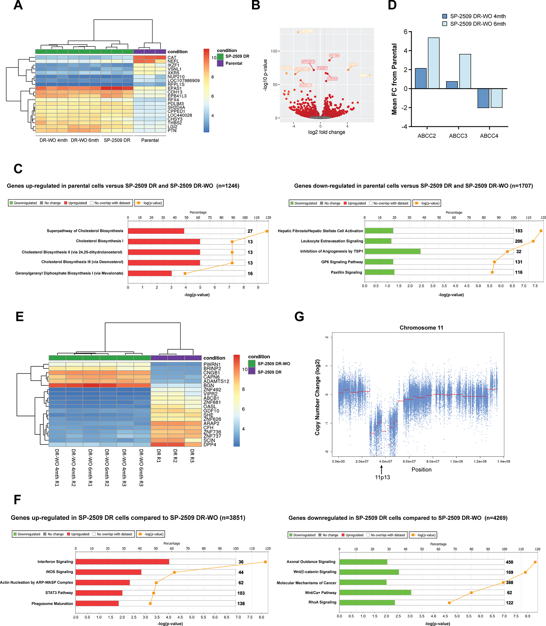 SP-2509 DR and SP-2509 DR-washout cells show the same transcriptional profile.