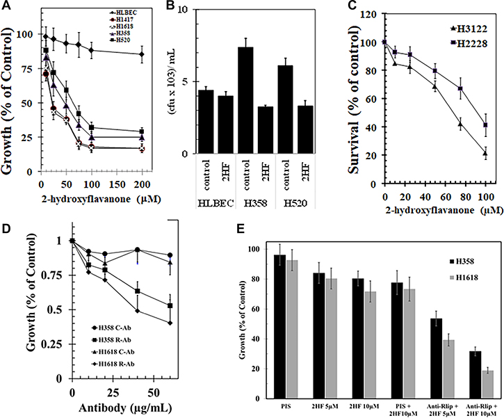 Anticancer activity of 2-hydroxyflavonone and effect of Rlip expression in lung cancer cell lines.