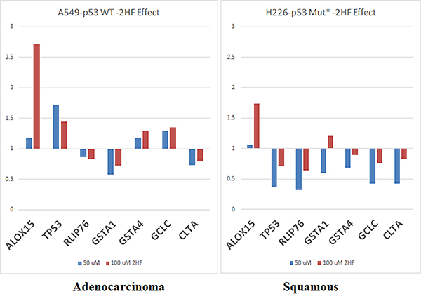 Effect of 2HF on selected MPy gene expression.