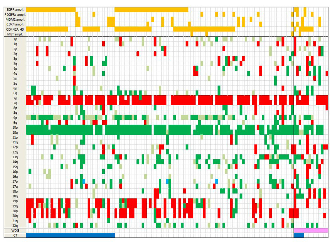 Landscape of SCNA in the 123 GBM.