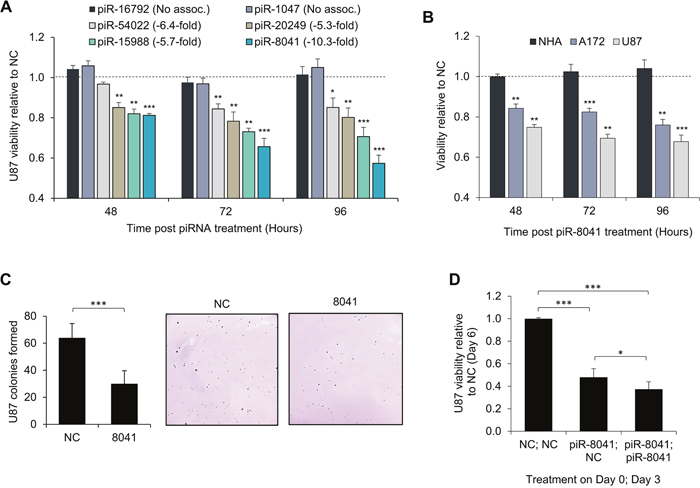 Reduction of GBM cell proliferation by piR-8041 and other GBM-underexpressed piRNAs.