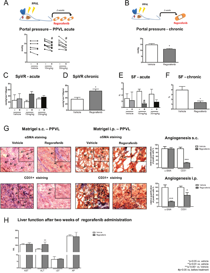 Effects of regorafenib in an animal model of portal vein obstruction.